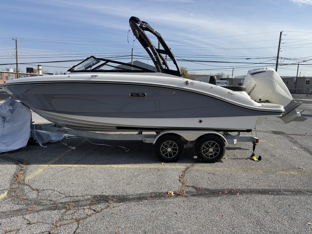 Sea Ray 10